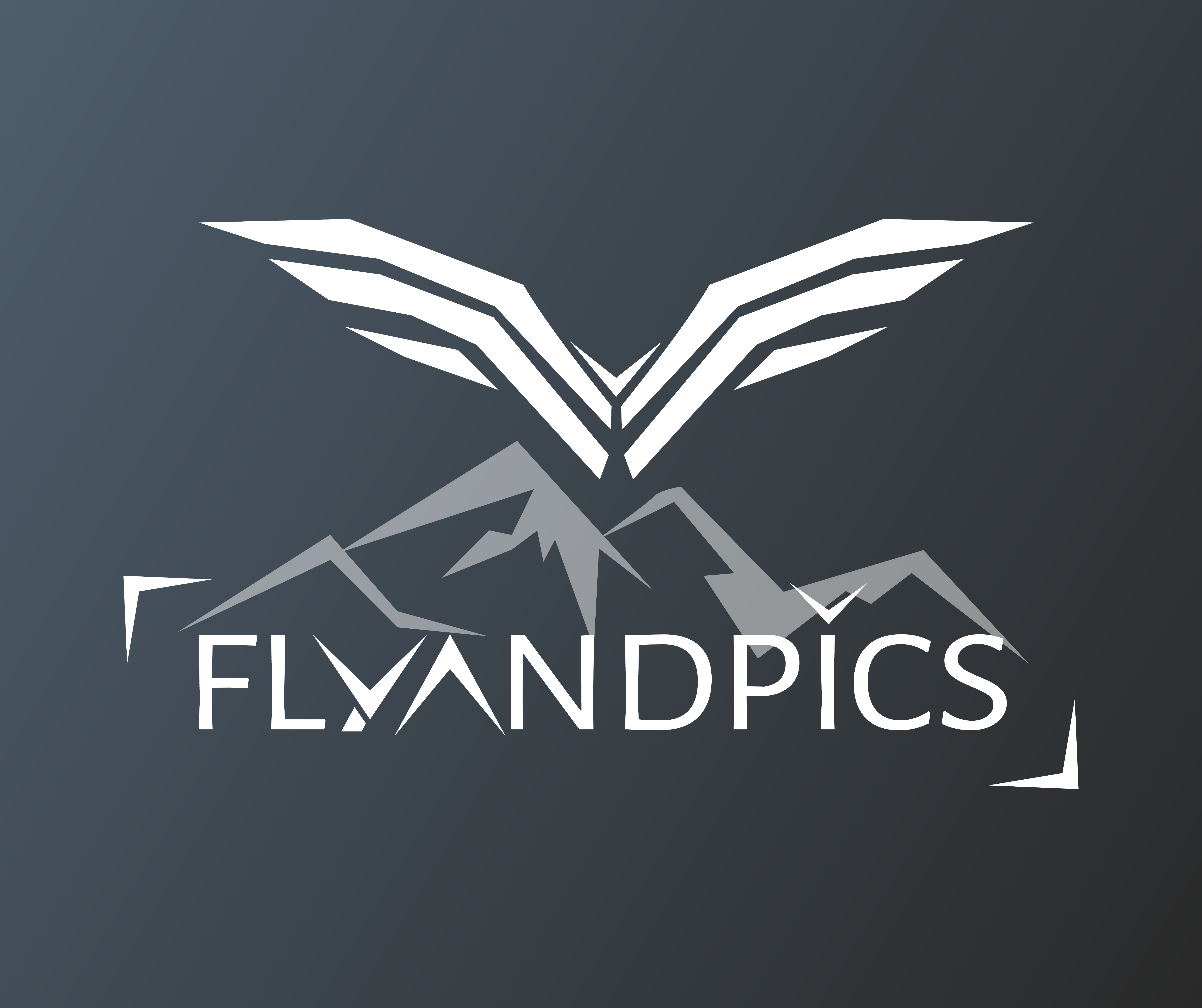 Flyandpics